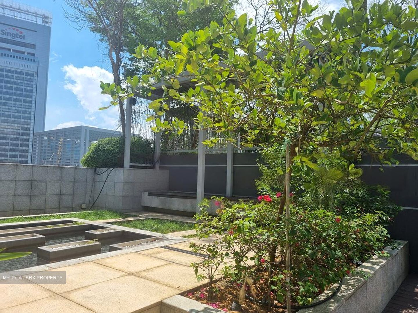 Residences @ Killiney (D9), Apartment #460173181